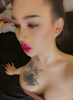 Cum on my face - Transsexual escort in Bangkok Photo 9 of 11