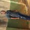 Wyclif - Male escort in Kampala