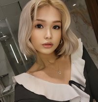 Xcocox - Transsexual companion in Bangkok