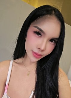 Xian Jhanella Lee (Just Arrived) - Transsexual escort in Taipei Photo 19 of 30