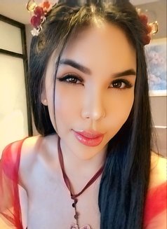 Xian Jhanella Lee (Just Arrived) - Transsexual escort in Taipei Photo 21 of 30