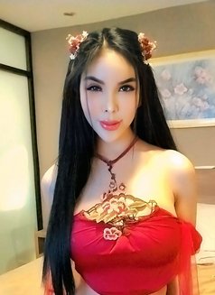 XIAN JHANELLA LEE ( JUST ARRIVED) - Acompañantes transexual in Bangkok Photo 29 of 30
