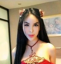 XIAN JHANELLA LEE ( JUST ARRIVED) - Transsexual escort in Taipei