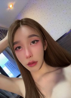 Xiao Li Linh - Acompañantes transexual in Hat Yai Photo 12 of 12