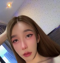 Xiao Li Linh - Acompañantes transexual in Hat Yai