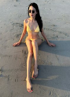 Xiena - escort in Hanoi Photo 20 of 28