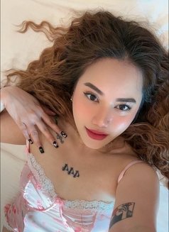 I'm Xiian New in RiYADH - escort in Riyadh Photo 11 of 12