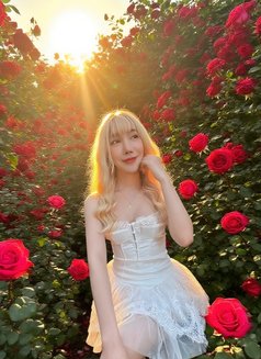 Xinxin 新新 - escort in Osaka Photo 6 of 9
