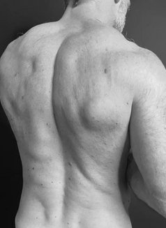 Xl Aussie Daddy - Acompañantes masculino in Dubai Photo 2 of 6