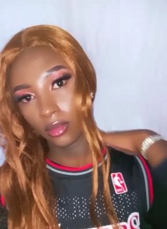 Xtordi - Transsexual escort in Nairobi Photo 4 of 4