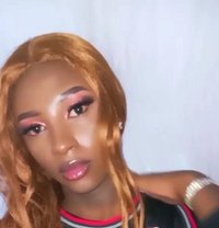 Xtordi - Acompañantes transexual in Nairobi