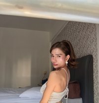 Xtrax22 - Transsexual escort in Bangkok