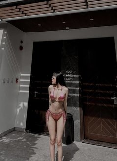 xueli - escort in Ho Chi Minh City Photo 1 of 13