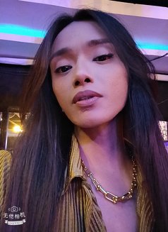 Xx Xsopfhie - Transsexual escort in Angeles City Photo 7 of 12