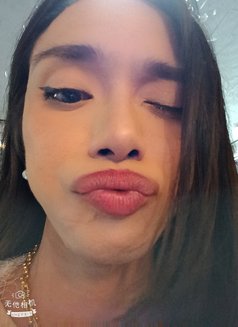 Xx Xsopfhie - Transsexual escort in Angeles City Photo 11 of 12