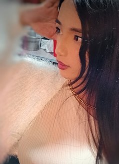 Xx Xsopfhie - Transsexual escort in Angeles City Photo 12 of 12