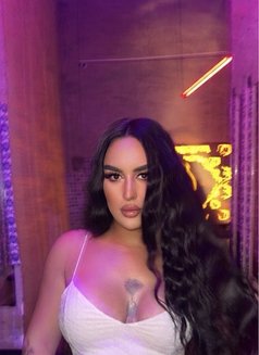 نايا شميل عربيه xxl Arabic Naya - Transsexual escort in İstanbul Photo 21 of 21