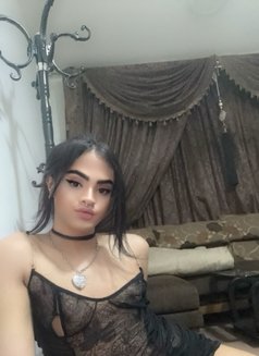 دانا 🇹🇳 xxl - Transsexual escort in Muscat Photo 5 of 11