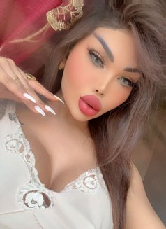 السمراء الوحيده باسطنبول XXL - Transsexual escort in İstanbul Photo 18 of 19