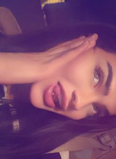 دانا تونسي 🇹🇳xxl - Transsexual escort in Muscat Photo 2 of 7