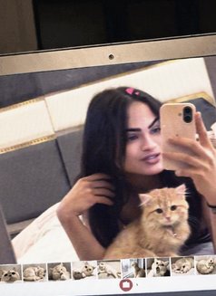 دانا تونسي 🇹🇳xxl - Transsexual escort in Muscat Photo 3 of 7