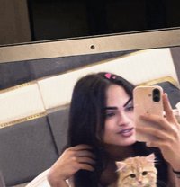 دانا تونسي 🇹🇳xxl - Transsexual escort in Muscat