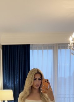 قمر Xxl 🎖️ - Male escort in Beirut Photo 7 of 7