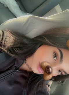 لؤي تونسي🇹🇳xxl - Male escort in Muscat Photo 15 of 17