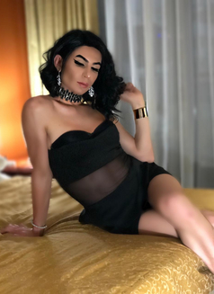 Xxl Turkish Delight Biggest Dick - Transsexual escort in Dubai Photo 5 of 5