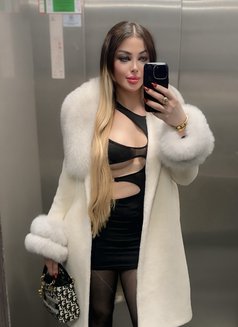 هيفاء عربية XXL VVIP - Transsexual escort in Kuwait Photo 30 of 30