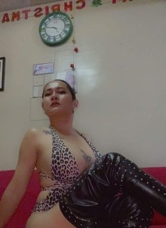 Xxnhicolexx - Acompañantes transexual in Manila Photo 24 of 28