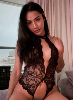 Hotcock available! - Transsexual escort in Tokyo Photo 4 of 4