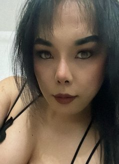 Yads ladyboy - Transsexual escort in Muscat Photo 1 of 9
