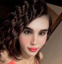 Yamam - Transsexual escort in Erbil