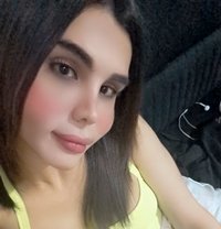 Yamam - Acompañantes transexual in Erbil