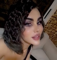 Yamandode - Transsexual escort in Erbil