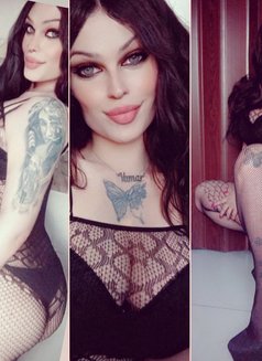Yamar - Transsexual escort in Beirut Photo 12 of 12