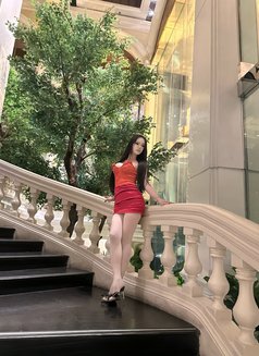Yanin Good Ladyboy - Acompañantes transexual in Bangkok Photo 8 of 8