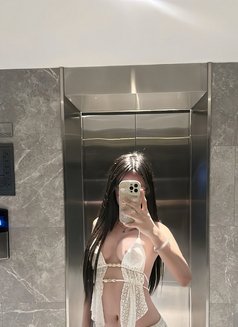 Yanin Good Ladyboy - Transsexual escort in Dubai Photo 8 of 9