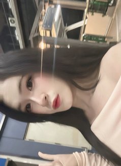 Yanin New Ladyboy - Transsexual escort in Doha Photo 9 of 10