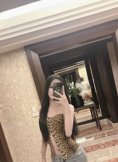 Yanin New Ladyboy - Acompañantes transexual in Doha Photo 9 of 10