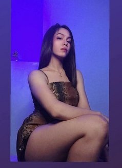 Yanyan Fully Functional Ladyboy - Transsexual escort in Manila Photo 3 of 6