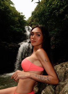 Yanyan(new) - Transsexual escort in Taipei Photo 10 of 22