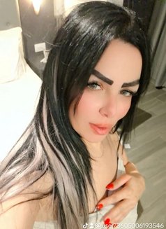 Yara - puta in Beirut Photo 4 of 6