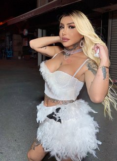 Yaren Soylu - Transsexual escort in Phuket Photo 5 of 6