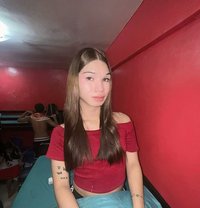 Yashie Fox - Transsexual escort in Manila