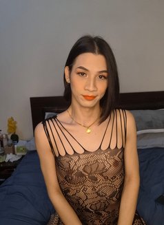 🇹🇭 Yasmin 69, Big and cum alot - Acompañantes transexual in Doha Photo 3 of 7