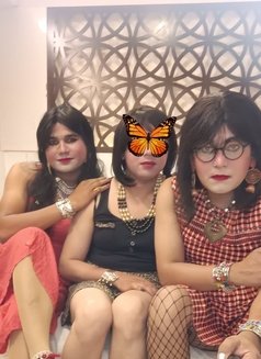 Yasmin ladyboy misstress - Transsexual escort in New Delhi Photo 6 of 17