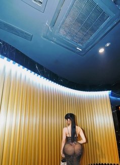 Yasmin Shemale top bottom curve luxury - Acompañante transexual in Jakarta Photo 18 of 18