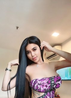 Yasmin Shemale top bottom curve luxury - Acompañante transexual in Jakarta Photo 30 of 30